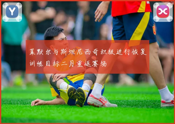 莱默尔与斯坦尼西奇积极进行恢复训练目标二月重返赛场