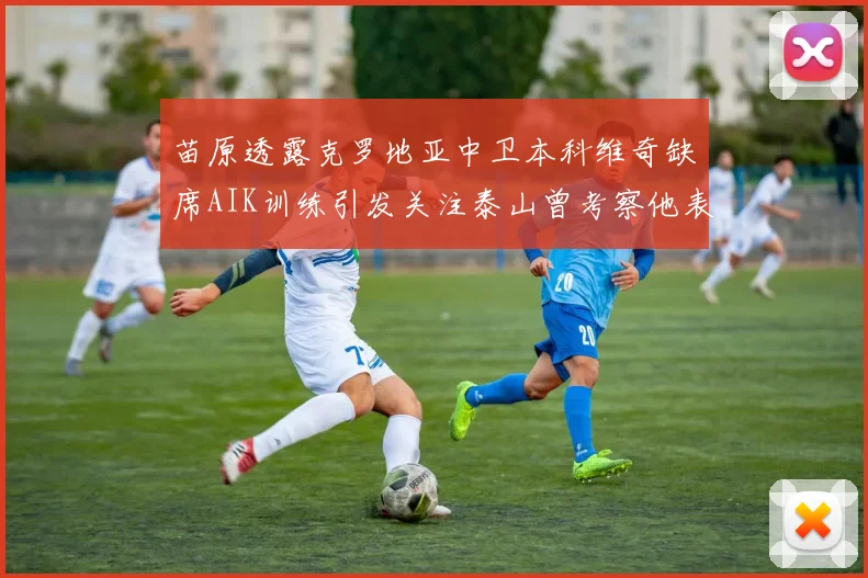 苗原透露克罗地亚中卫本科维奇缺席AIK训练引发关注泰山曾考察他表现