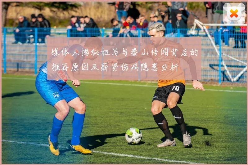 媒体人揭秘祖马与泰山传闻背后的推荐原因及薪资伤病隐患分析
