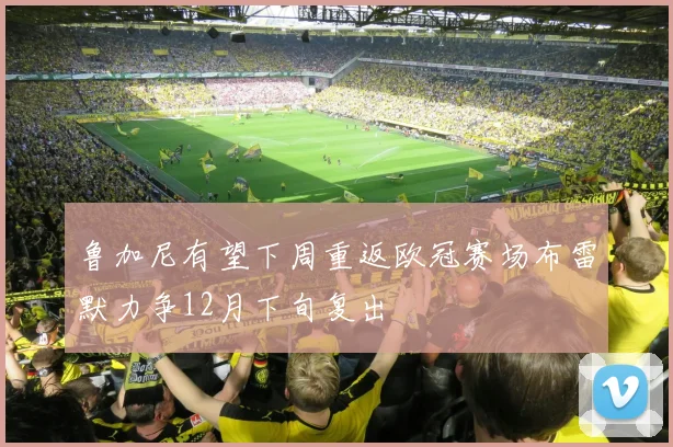鲁加尼有望下周重返欧冠赛场布雷默力争12月下旬复出